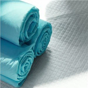 Super Absorbent Dog Training Pads