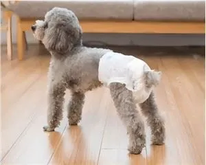 Tsiaj Diaper Pad Dog Diaper Diaper Magic Funnel Deodorant Dog Diaper
