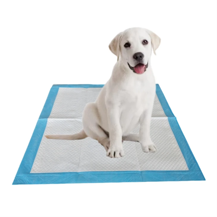 Antibacterial Deodorant Disposable Pet Training Pads