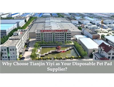 Vim li cas thiaj xaiv Tianjin Yiyi raws li koj tus tsiaj pov tseg?