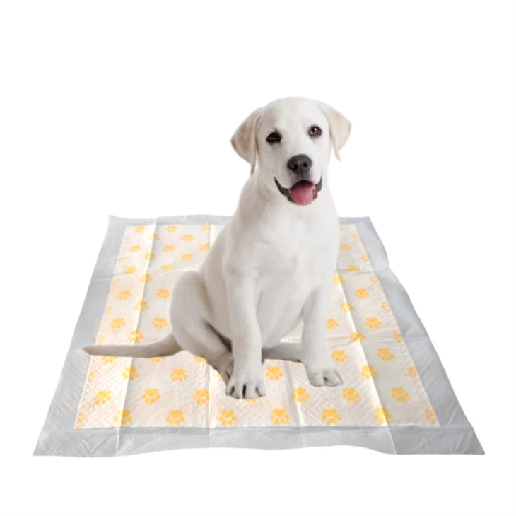 PH Test Health Monitoring Disposable Puppy Pads