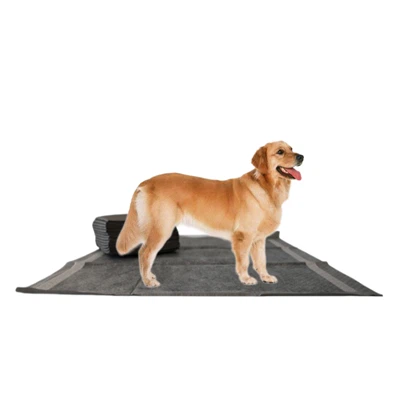 Carbon Tsiaj Ncoo rau kev tshem tawm cov ntxhiab tsw tsis tsw ntxhiab