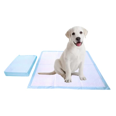 Chew-Resistant Disposable Potty Training Pads Rau dev