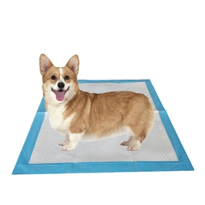 Disposable Antibacterial Remove Smell Pet Training Pads