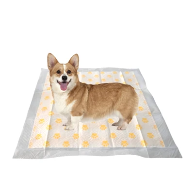Health Monitor Disposable PH Test Pee Pads For Dogs