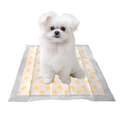 PH Test Disposable Pet Training Pads Rau dev