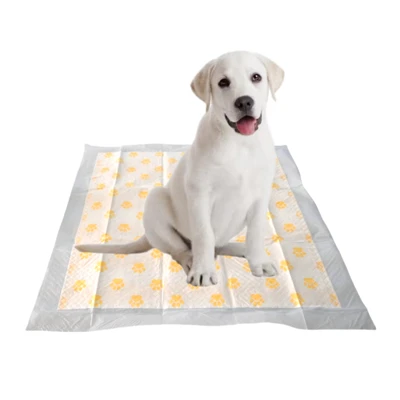 PH Test Disposable Potty Training Pads