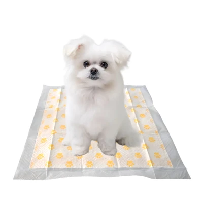 PH Test Health Monitoring Disposable Potty Training Pads